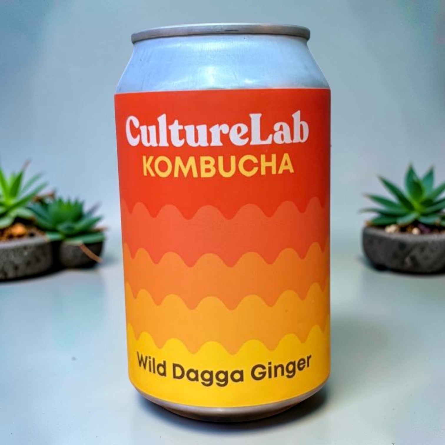 Culture Lab Wild Dagga Ginger Kombucha can with a vibrant orange and yellow gradient label. Two small potted succulents flank the can.
