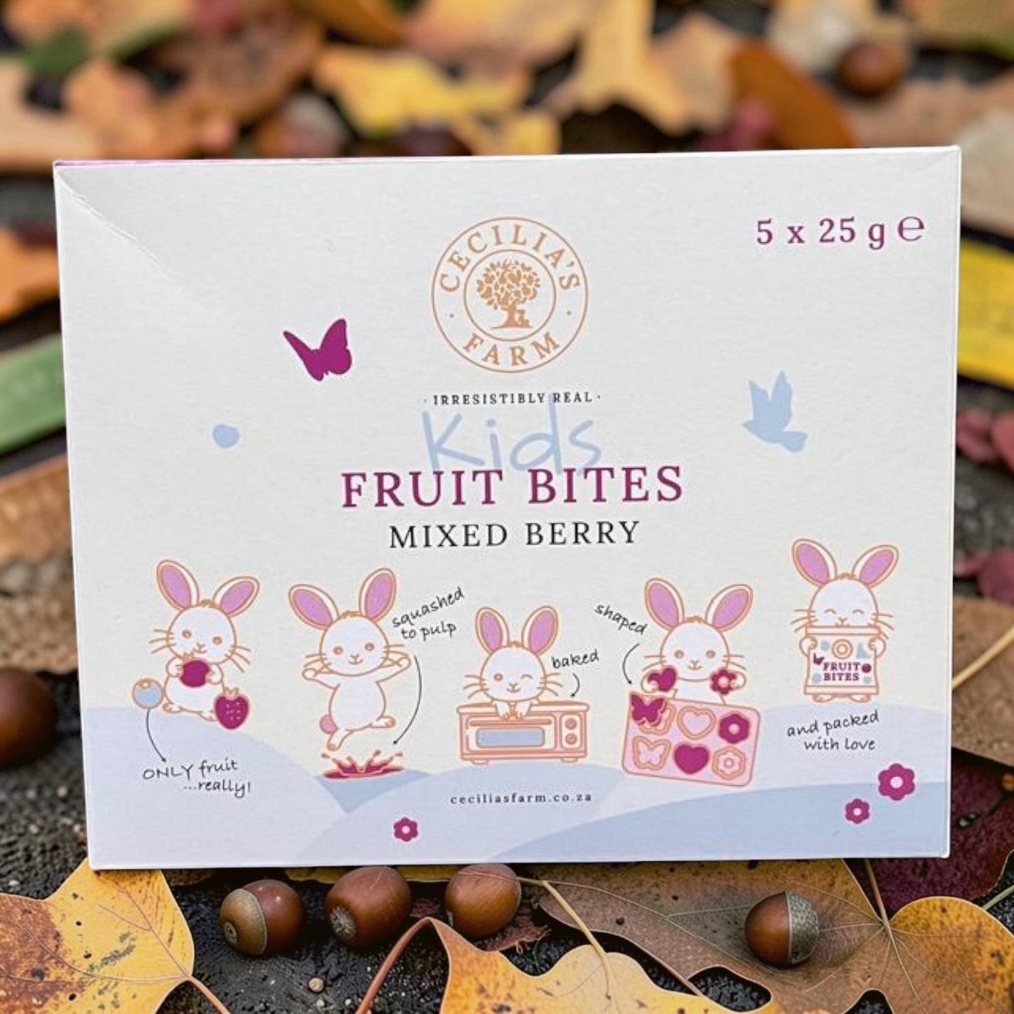 Die Spens Clarens Kids Fruit Bites Mixed Berry box, featuring cute bunny illustrations showing the fruit snack making process. 5 x 25g servings.